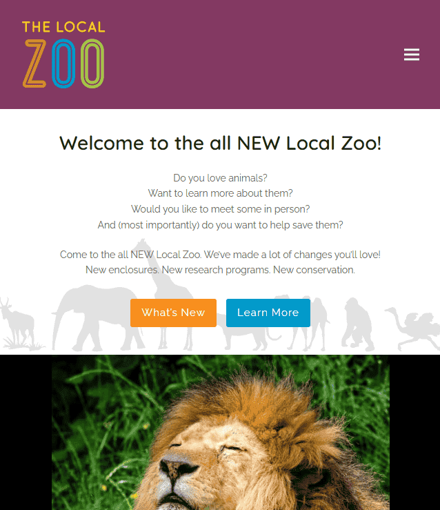 Responsive e-commerce website by an experienced developer