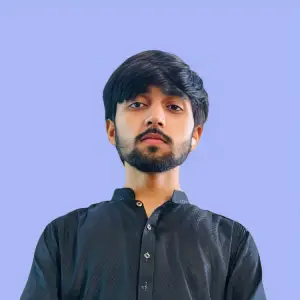 Talha - Experienced Web Developer